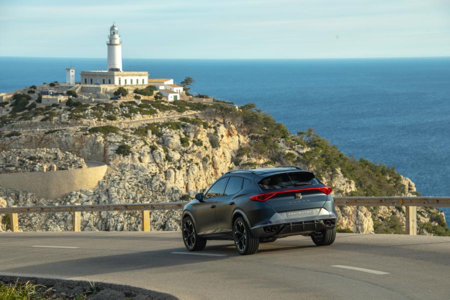  Cupra Formentor 2019 года  (фото 21 из 24)